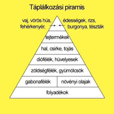 taplalkozasi_piramis_2003.jpg